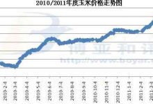 最新市场价格解读及购买建议-优乐评测网