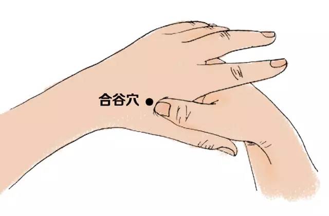 全方位解析谷歌服务器内存价格趋势