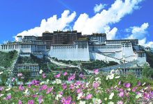 景点服务器价格究竟如何计算？每小时租赁费用是多少？-优乐评测网