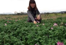 究竟一年需要多少钱来维护服务器？-优乐评测网