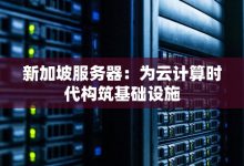 新加坡服务器端口数量及其作用-优乐评测网