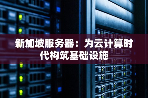 新加坡服务器端口数量及其作用