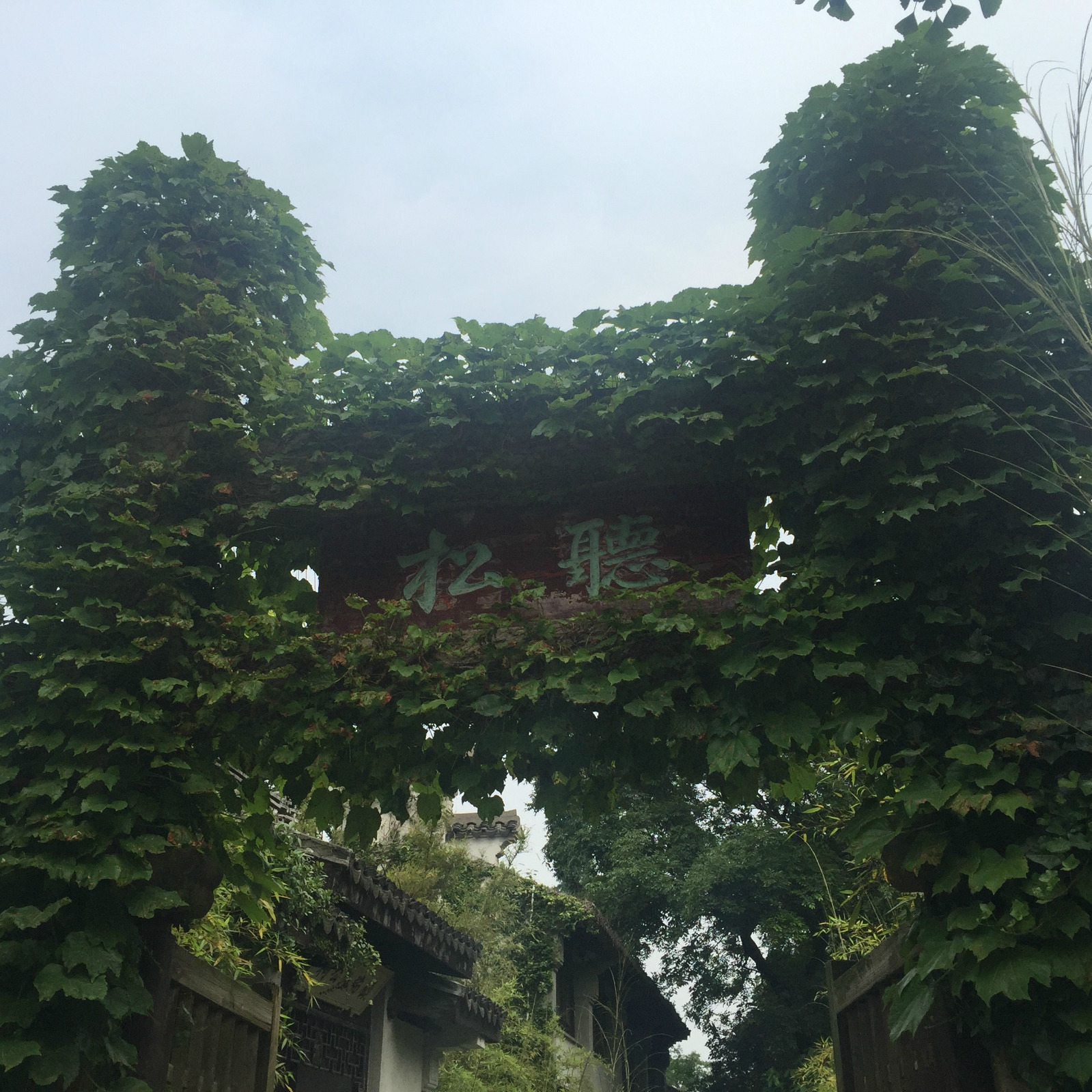 寄畅园管理处的卓越实践及创新策略