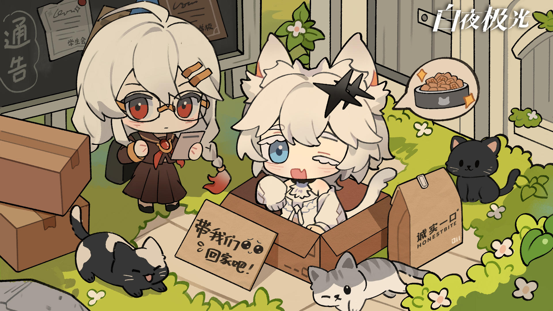 探寻白喵服务器的神秘密码