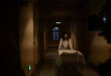 揭秘我的世界空岛服务器IP数量，一网打尽所有相关信息！-优乐评测网