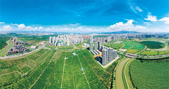 江门市珠西数谷大数据产业园的崛起