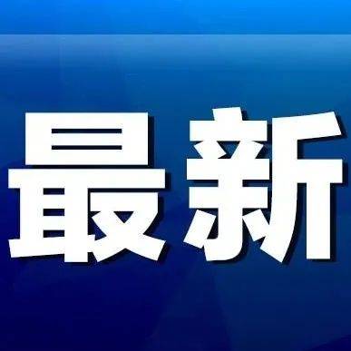 最新市场动态及价格趋势