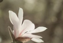 一天究竟要花多少钱来维护服务器?-优乐评测网