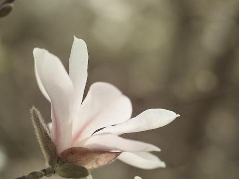 一天究竟要花多少钱来维护服务器