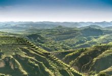 揭秘森林服务器的容纳人数极限-优乐评测网