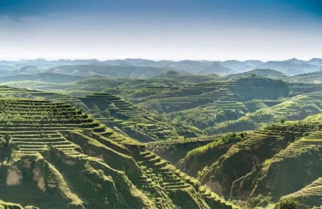 揭秘森林服务器的容纳人数极限