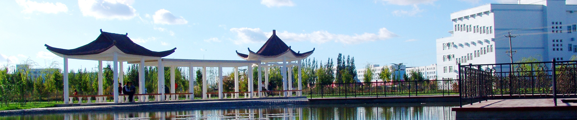 塔里木大学医学院云端创新教学的实践与挑战