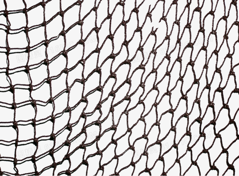 网云服务器价格概览