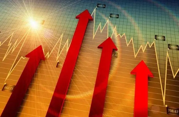 市场行情及成本分析