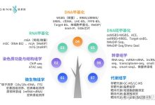 基因科技重塑健康生态-优乐评测网