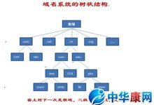 什么是DNS路由服务器地址?-优乐评测网