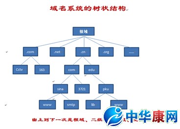 什么是DNS路由服务器地址?