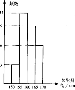人数峰值与在线状况揭秘