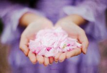 你想知道的都在这里-优乐评测网