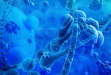 生物云助力成都打造科技创新高地-优乐评测网