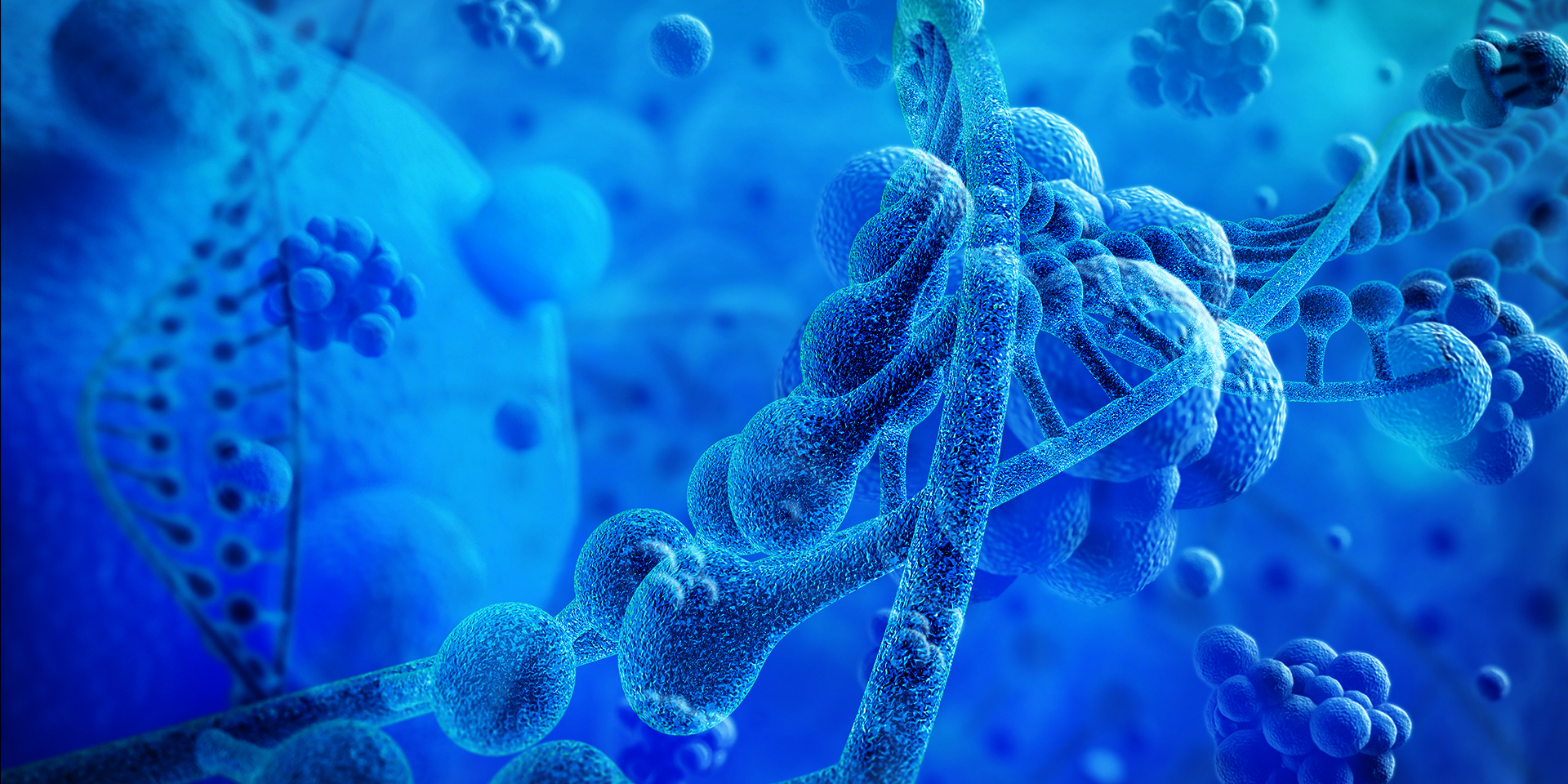 生物云助力成都打造科技创新高地