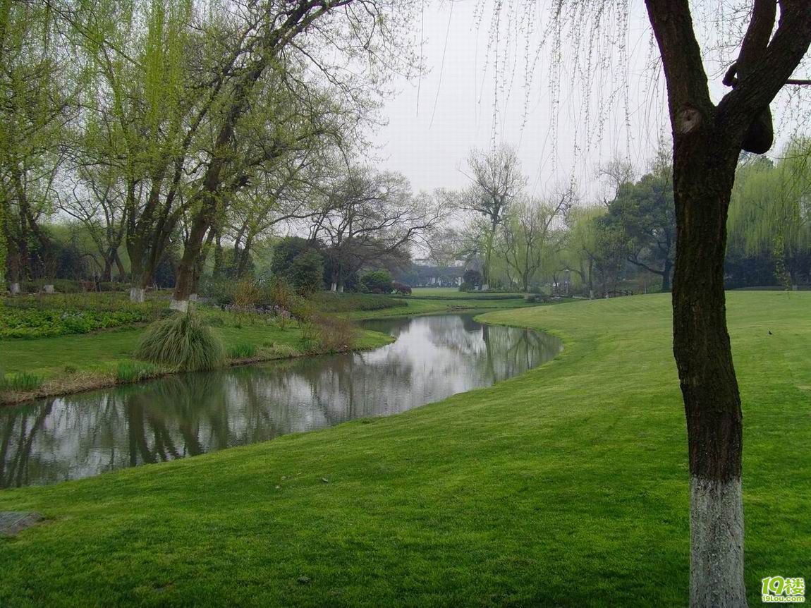 不同地区和时段的主服务器租金不同