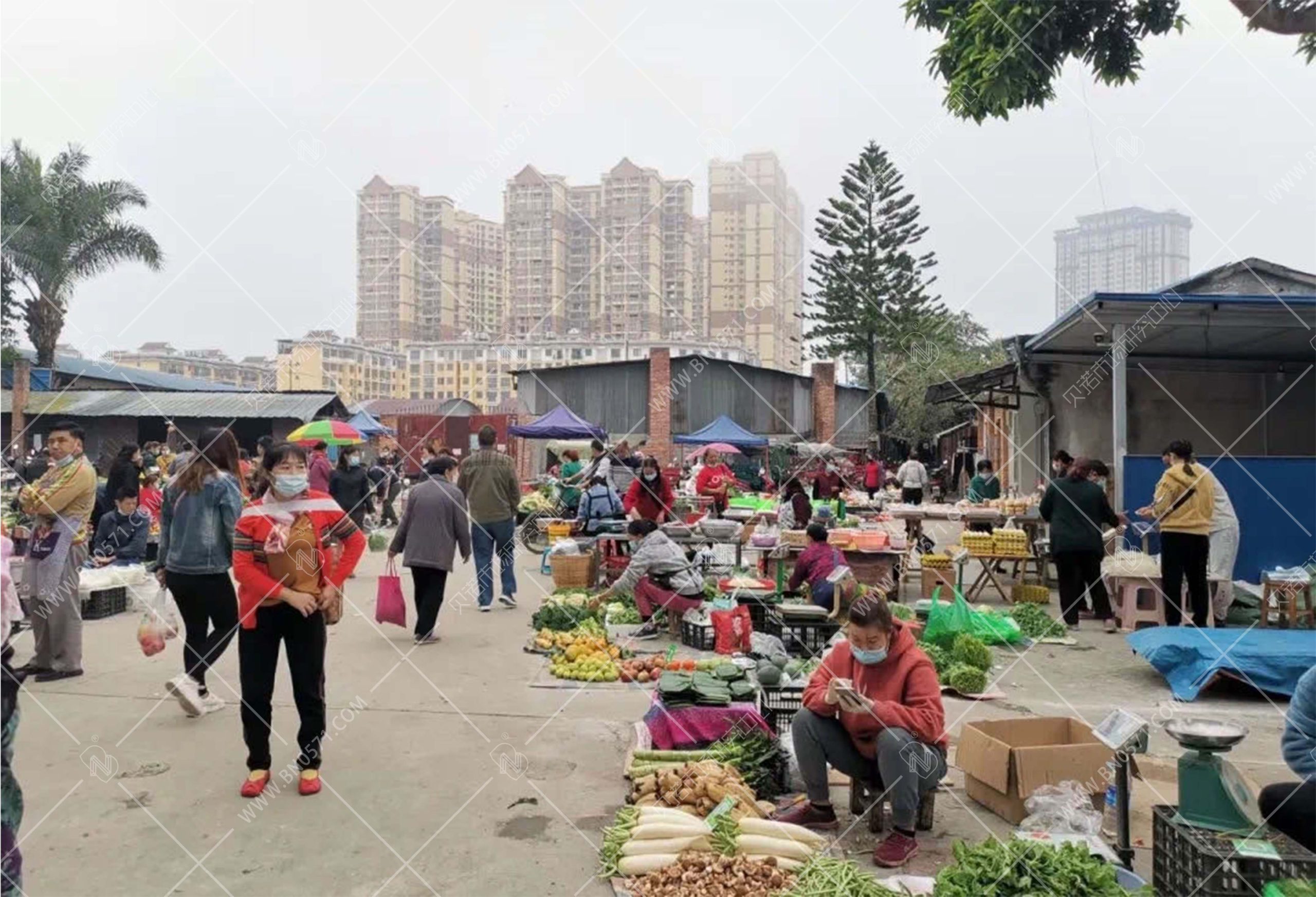 市场行情下的多变价位