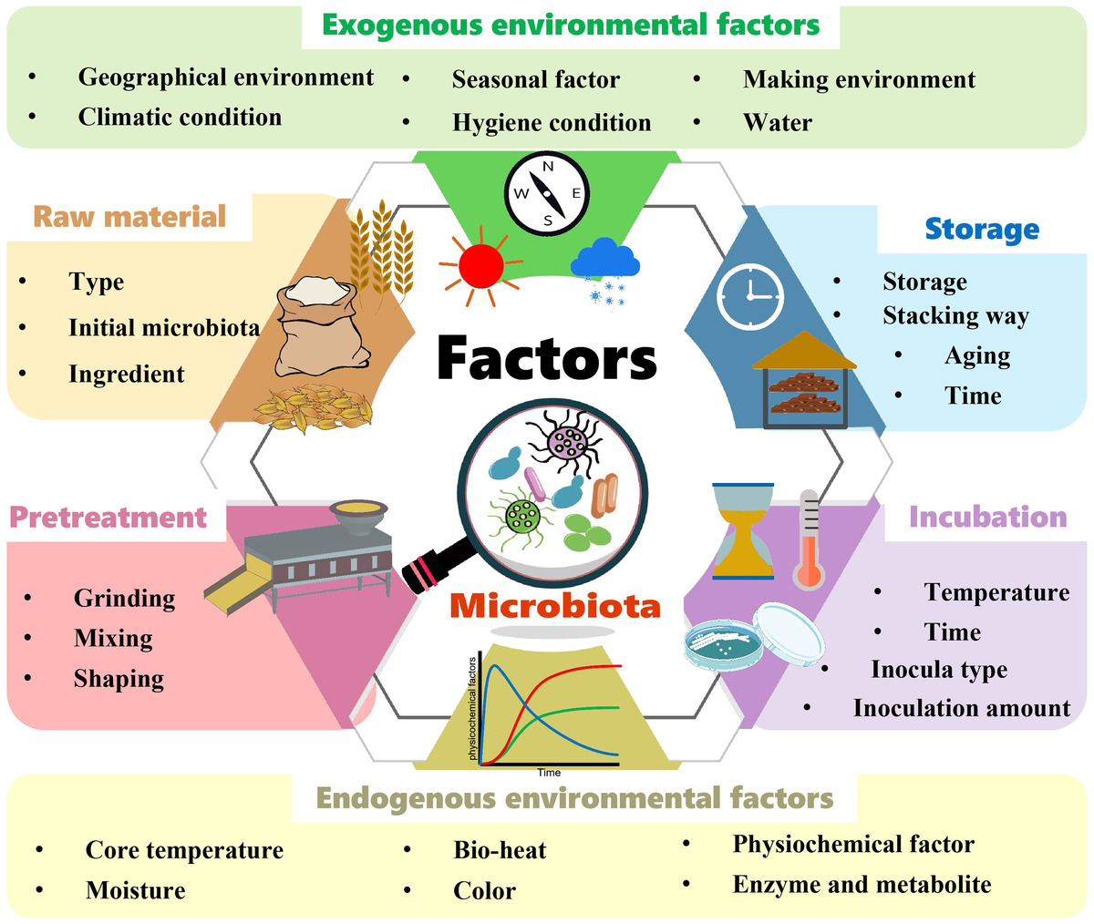 多种因素下的实际需求分析