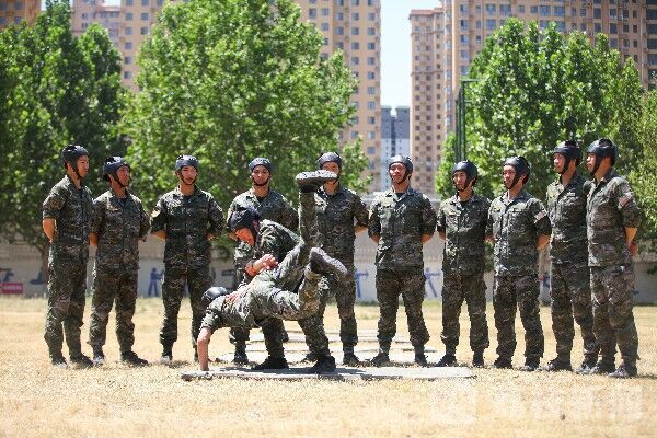 实战操作指南及最新价格曝光