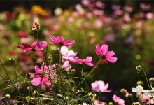 究竟一天要花多少电费才能租用服务器？-优乐评测网