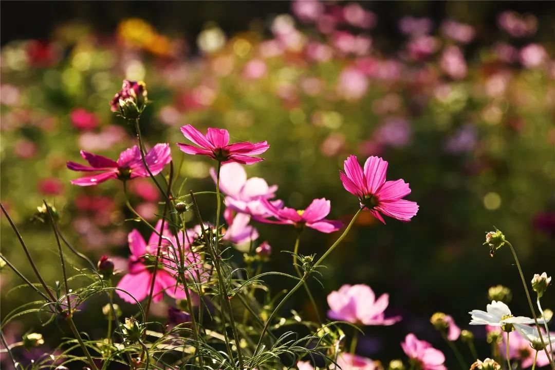 究竟一天要花多少电费才能租用服务器
