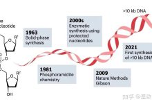 深度解析不同规格服务器的价格标签。-优乐评测网