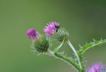 究竟要花多少钱才能购买到价值达至数十上百千兆兆内存的防御服务器呢？-优乐评测网