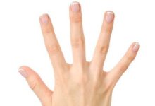 手游国服服务器概览：数量及运营状况-优乐评测网