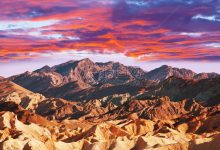 全方位了解谷歌云服务器费用构成与最新报价-优乐评测网