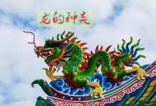 龙岛服务器价格大揭秘：多个因素决定最终价格 (龙岛在哪里,no_ai_sug:false}],slid:279829649130867,queryid:0xfbfe80ead58573)-优乐评测网