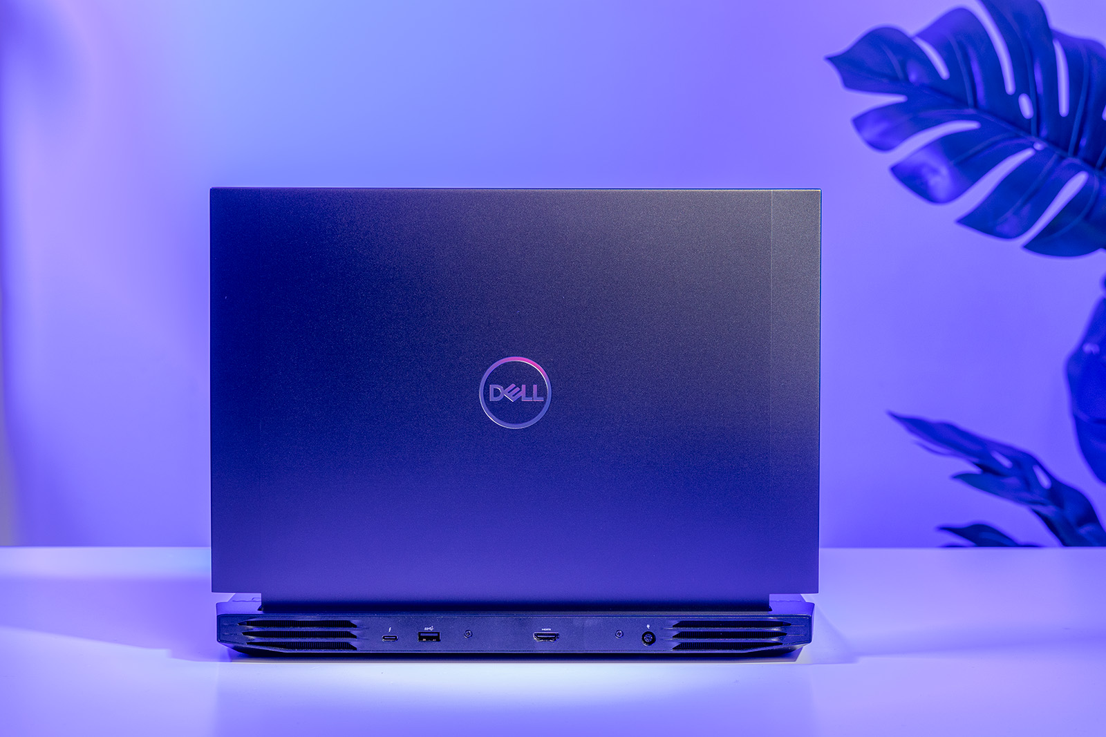 追求极致体验的服务器人世界