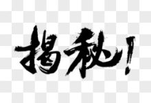 揭秘首选DNS服务器地址-优乐评测网