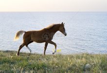 马云的投资版图揭晓:究竟花了多少在服务器布局上?-优乐评测网