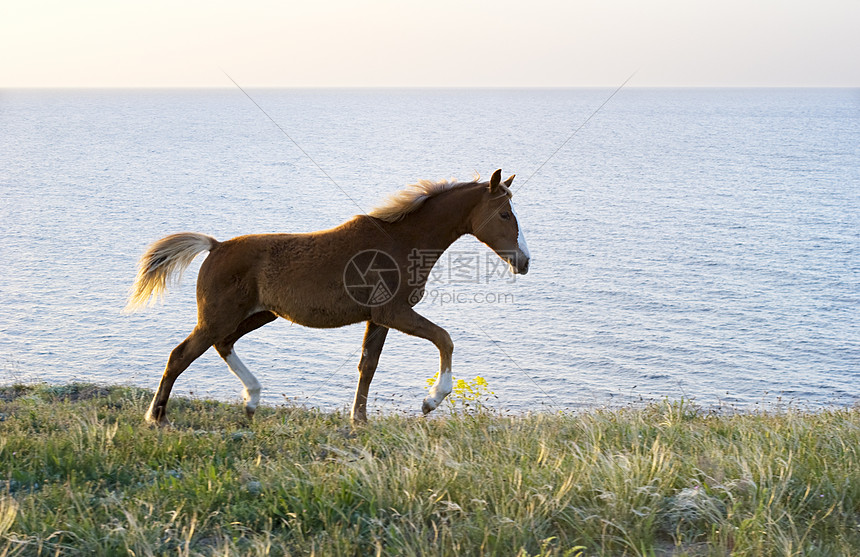 马云的投资版图揭晓