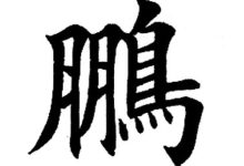 鹏霄服务器价格多少钱一台？全面解读！-优乐评测网