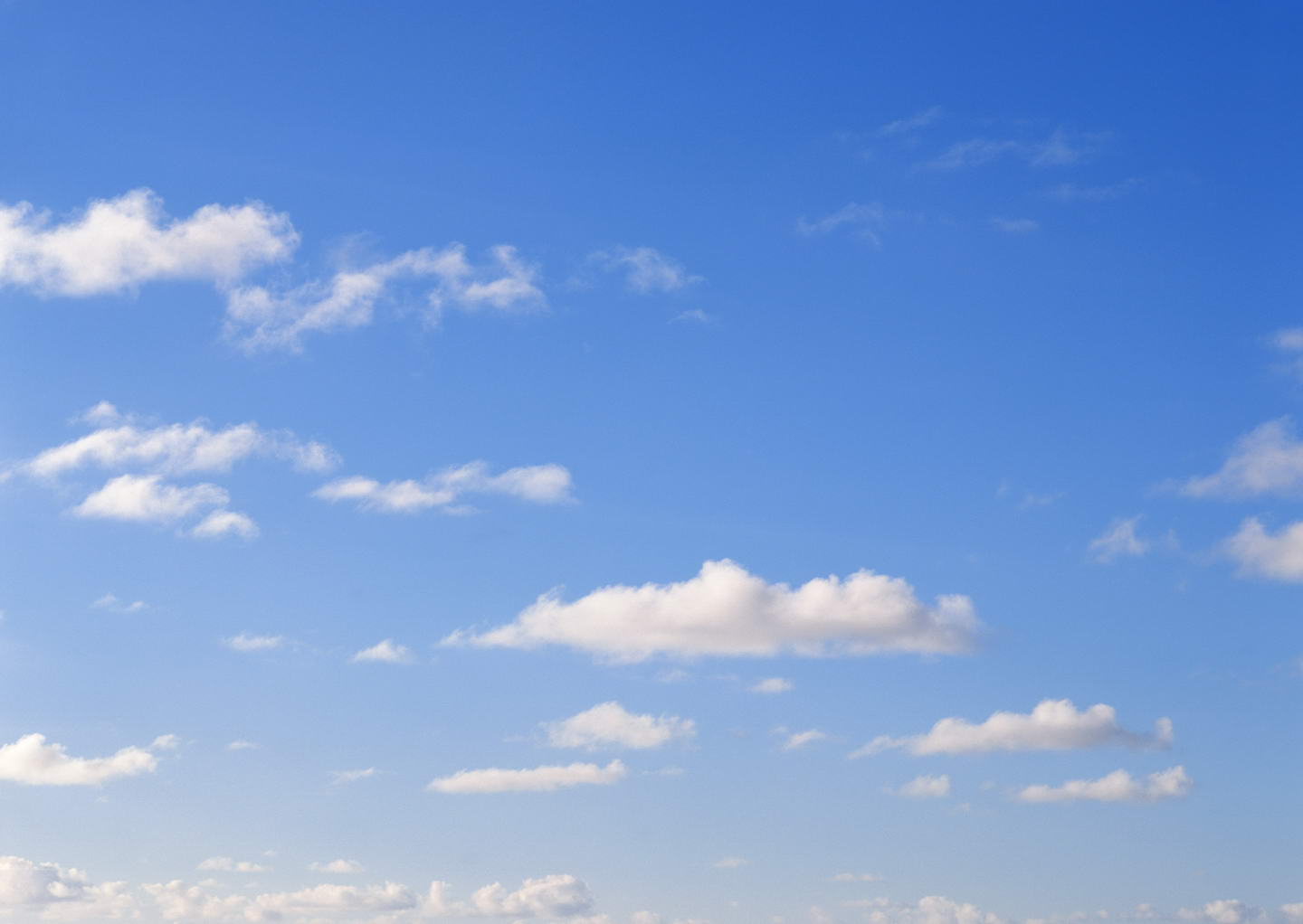 云服务器租用费用在温州的市场行情分析