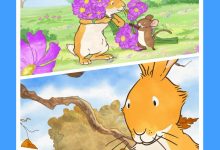 小哥解析服务器IP价格背后的因素-优乐评测网