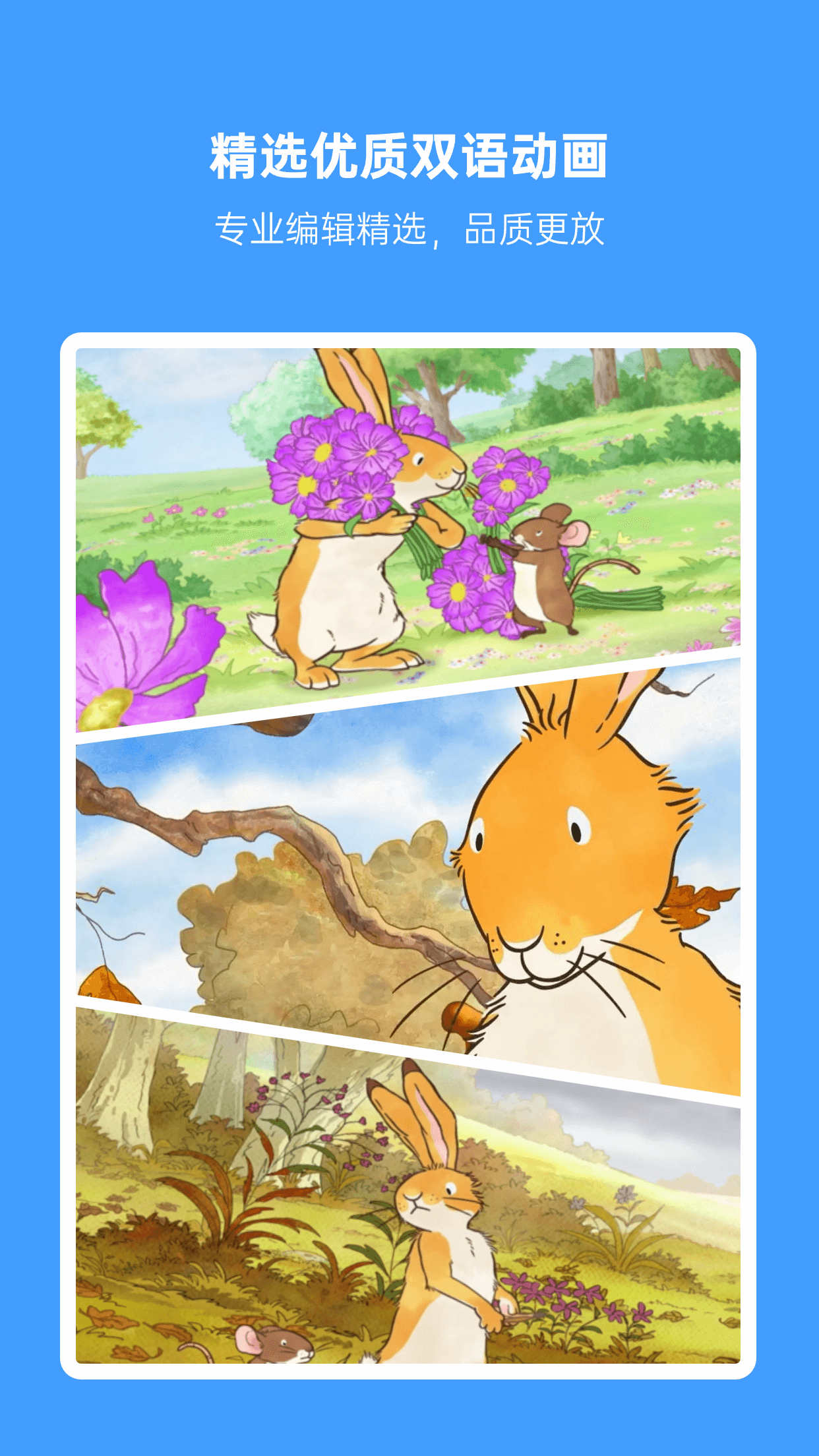 小哥解析服务器IP价格背后的因素