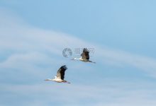 飞塔服务器回收价格受哪些因素影响？-优乐评测网