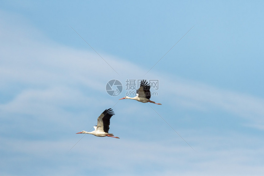 飞塔服务器回收价格受哪些因素影响