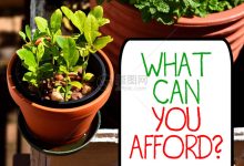 究竟能花费多少？-优乐评测网