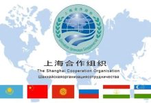 国际抖音独享服务器的价格是多少?-优乐评测网