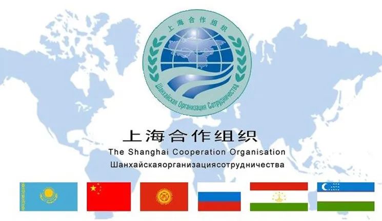 国际抖音独享服务器的价格是多少