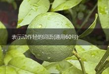 一步步教你轻松掌握服务器人数统计技巧-优乐评测网